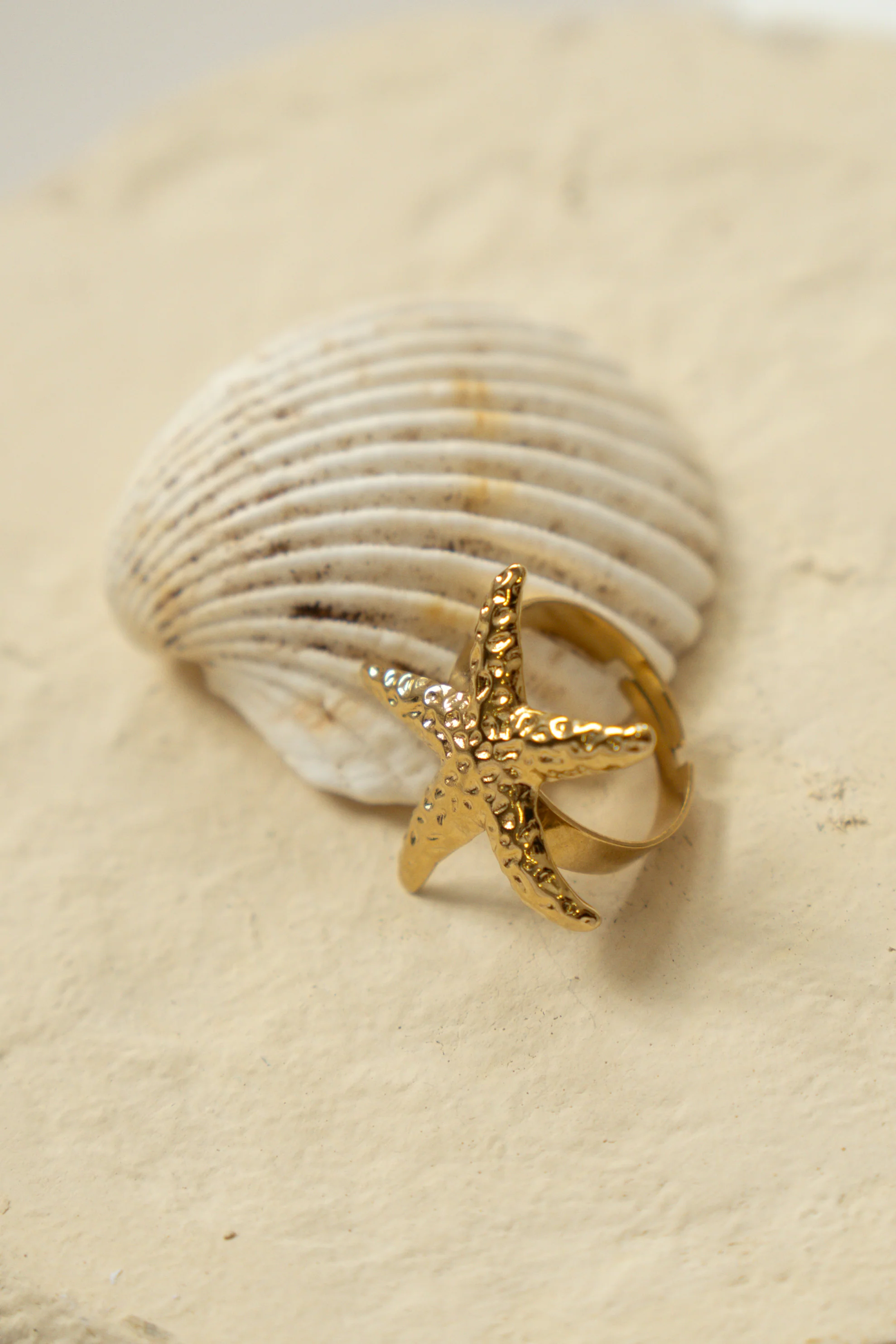 ANILLO ESTRELLA DE MAR - Image 4