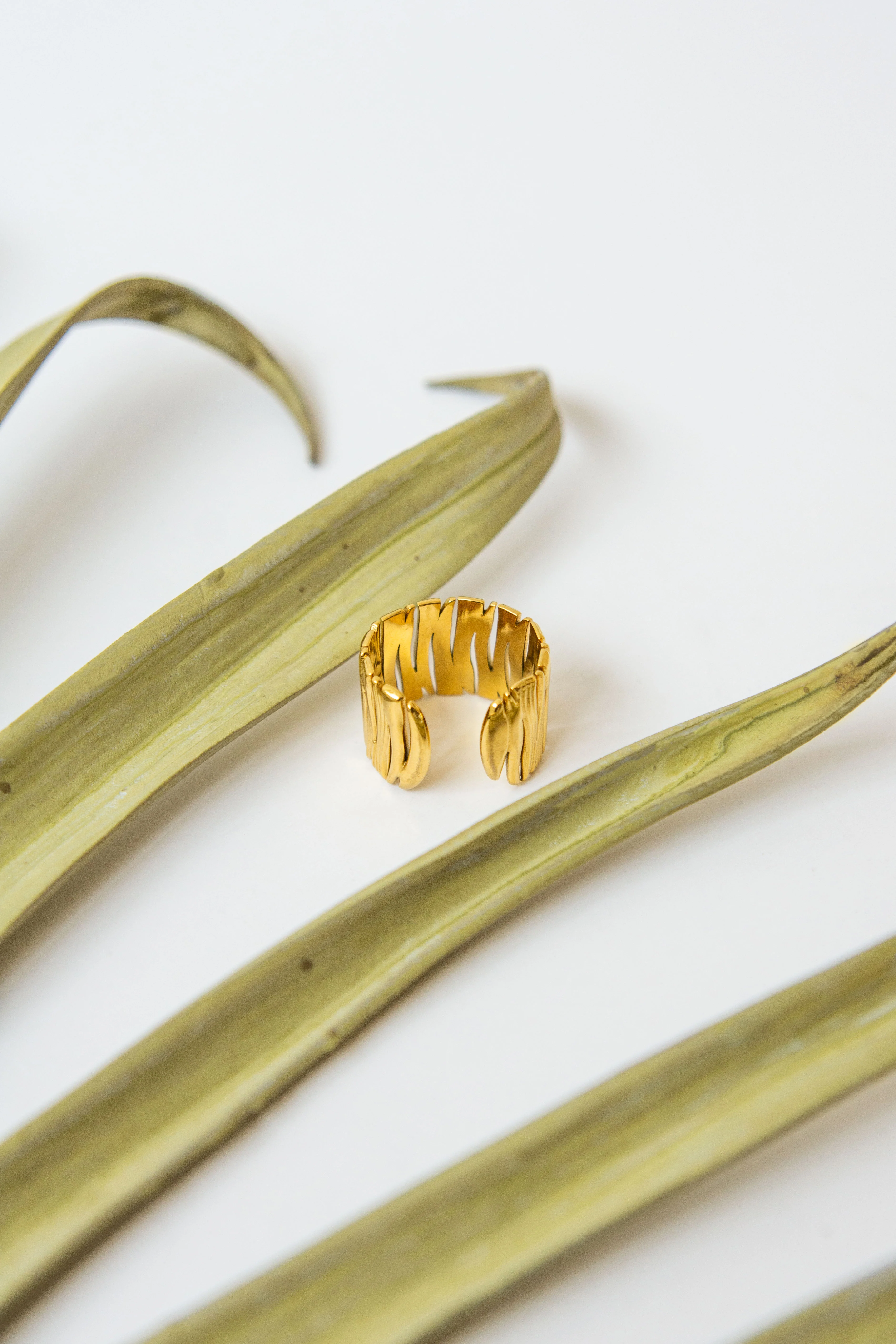 ANILLO TRONCO - Image 3